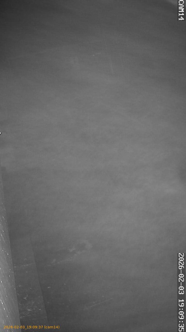 thumbnail_20260203190937