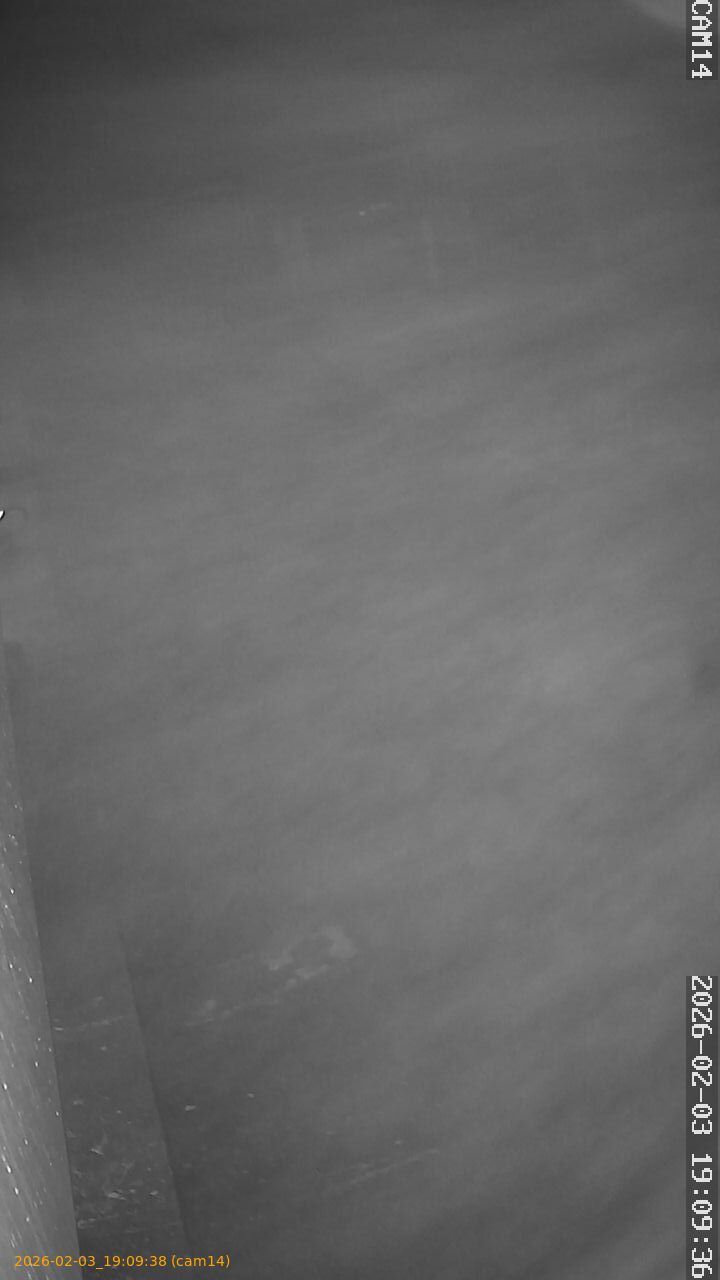 thumbnail_20260203190938