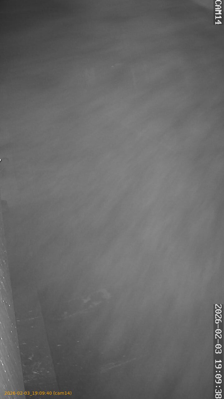 thumbnail_20260203190940