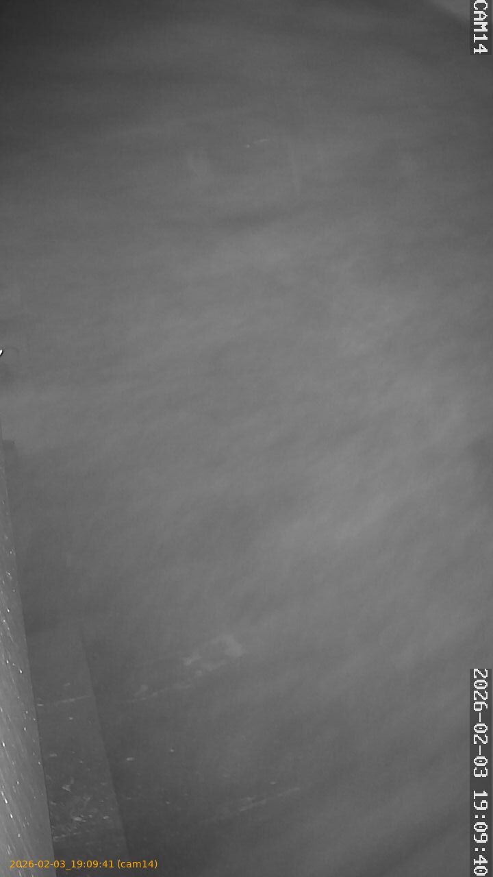 thumbnail_20260203190941