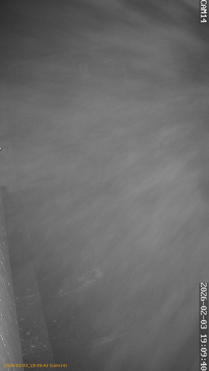 thumbnail_20260203190942