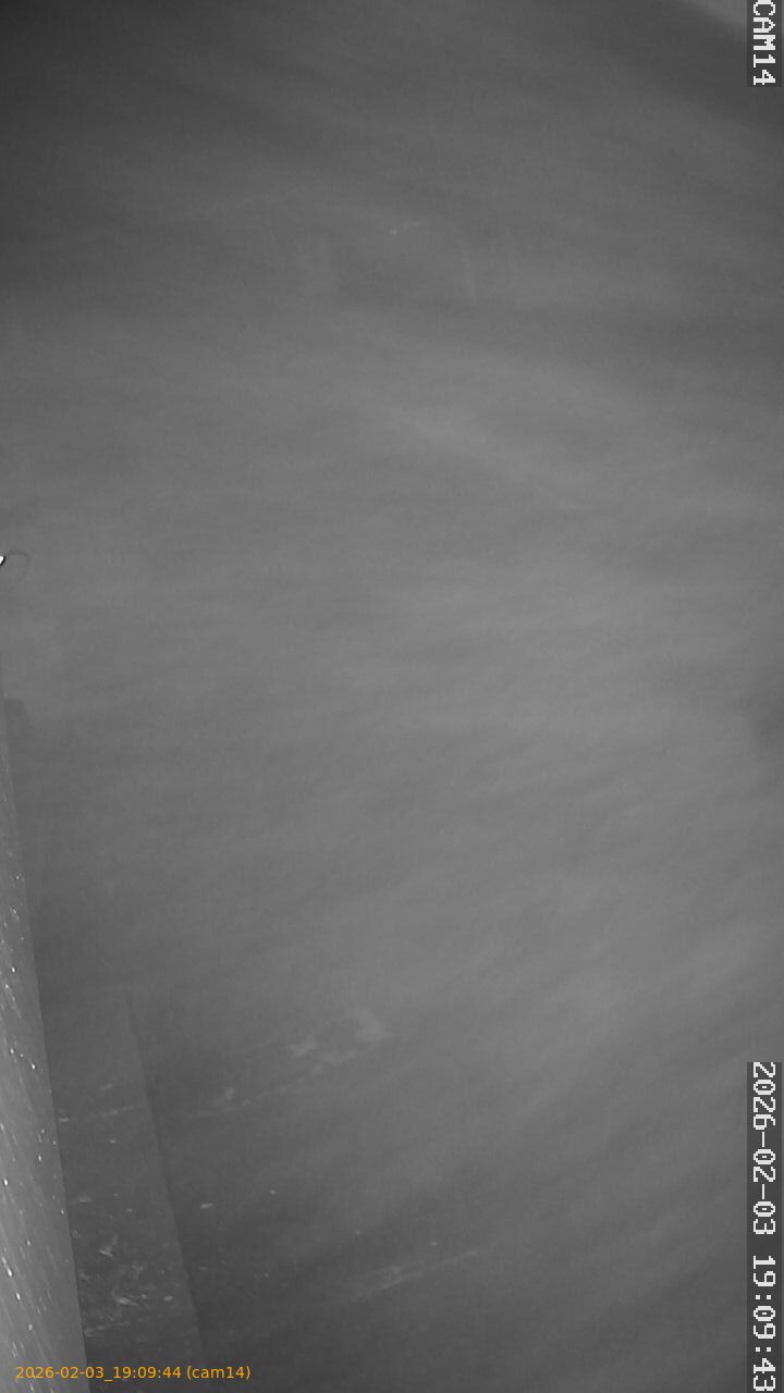 thumbnail_20260203190944