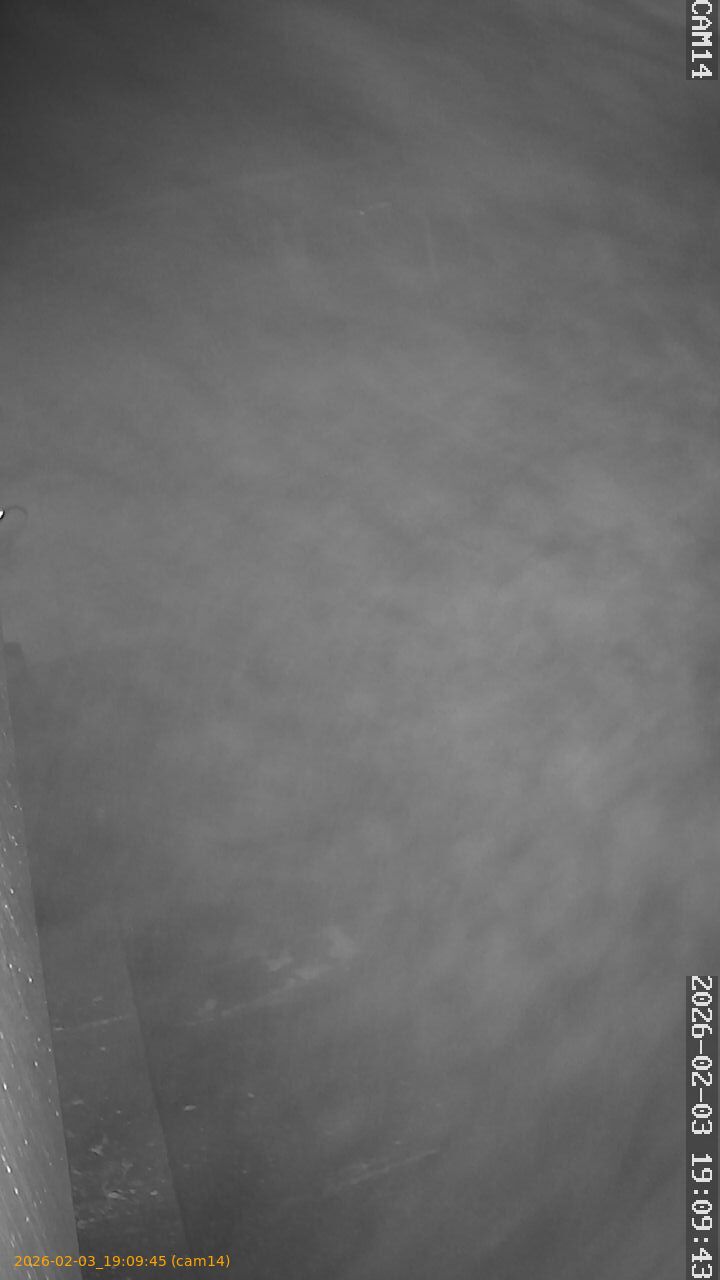 thumbnail_20260203190945