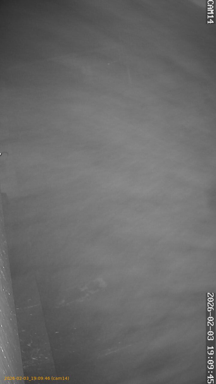 thumbnail_20260203190946