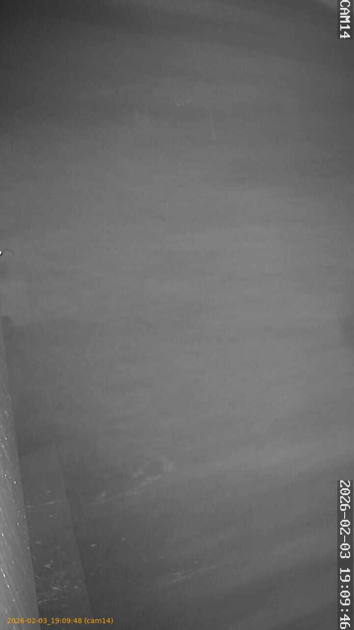 thumbnail_20260203190948