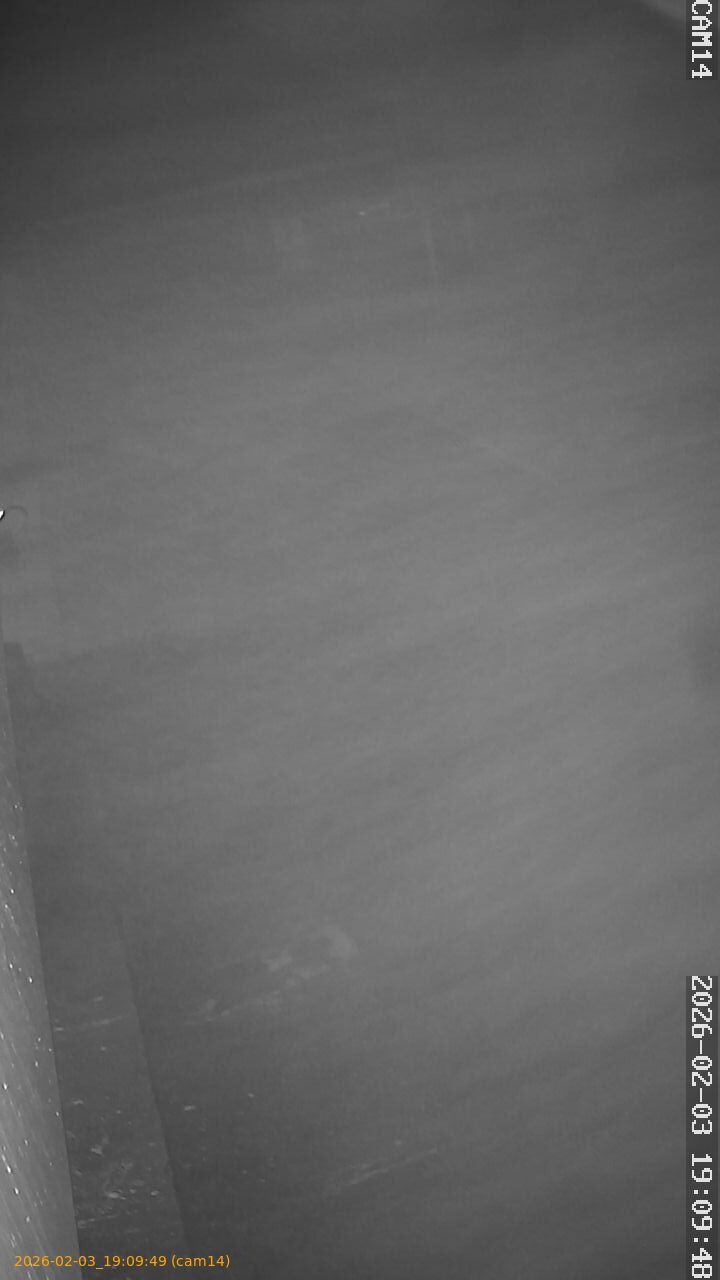 thumbnail_20260203190949