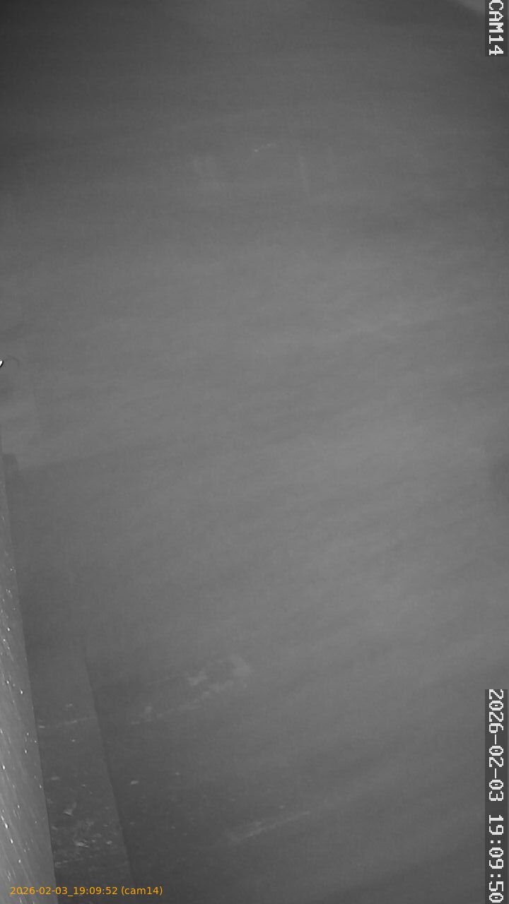 thumbnail_20260203190952