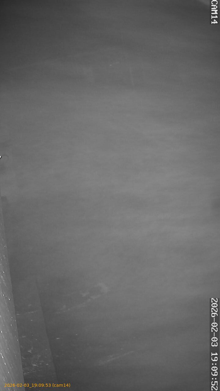 thumbnail_20260203190953