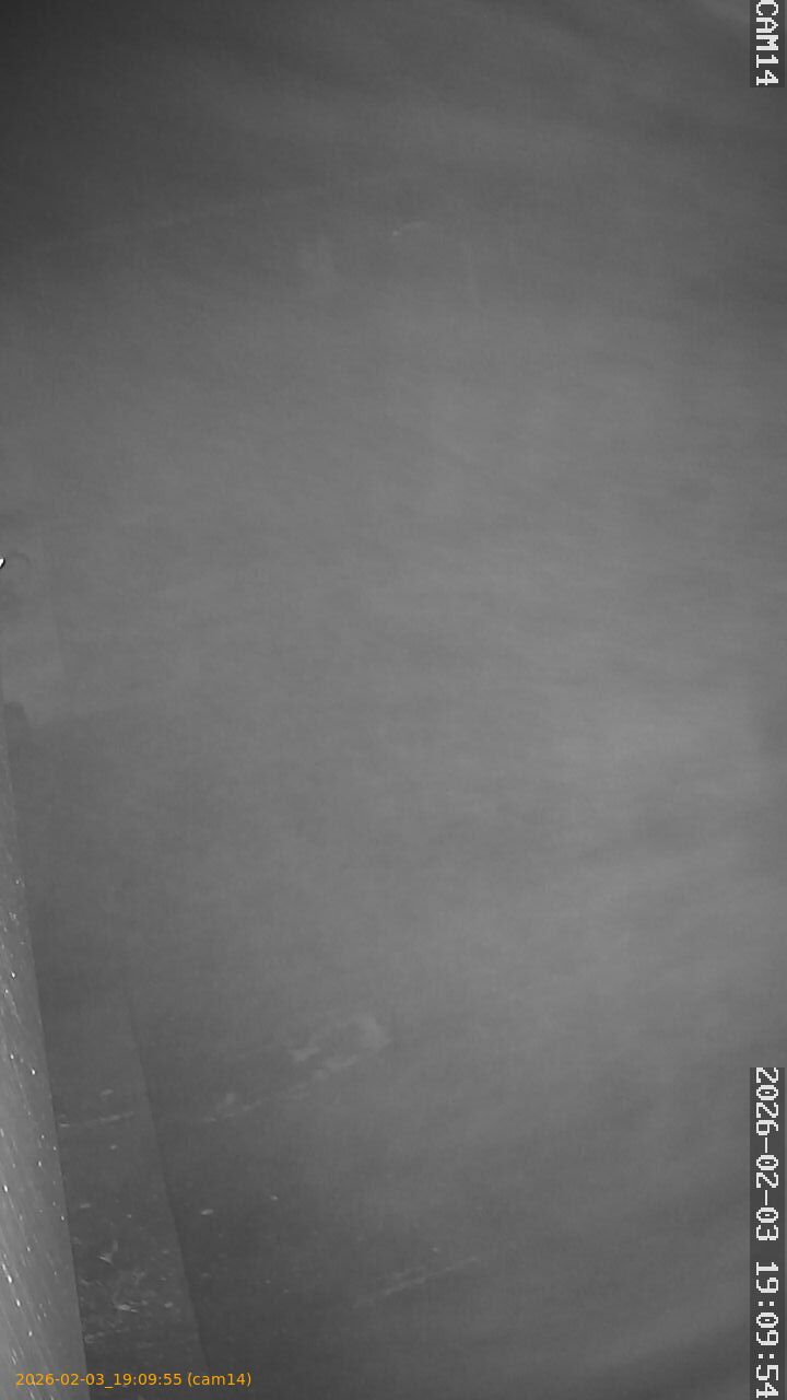 thumbnail_20260203190955