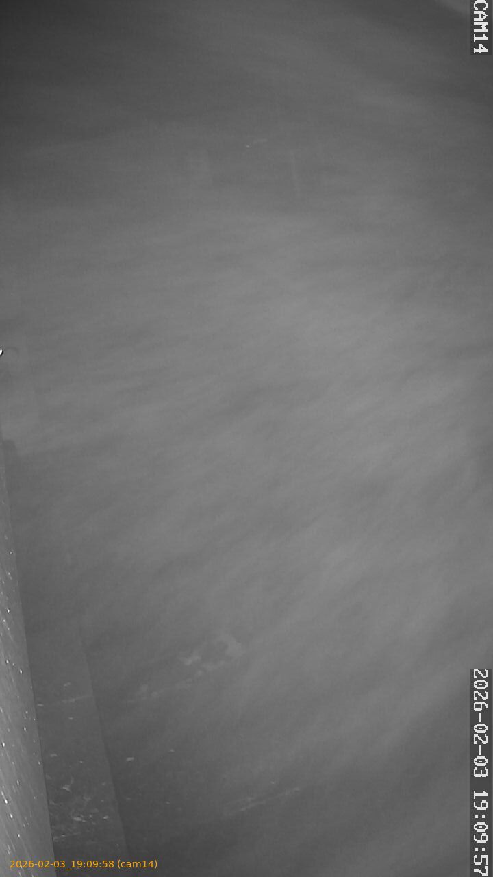 thumbnail_20260203190958