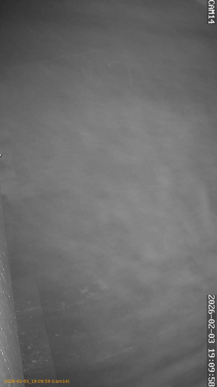 thumbnail_20260203190959