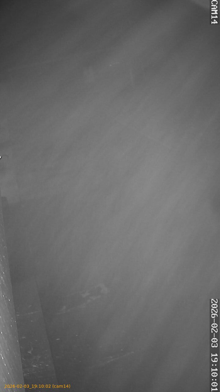 thumbnail_20260203191002