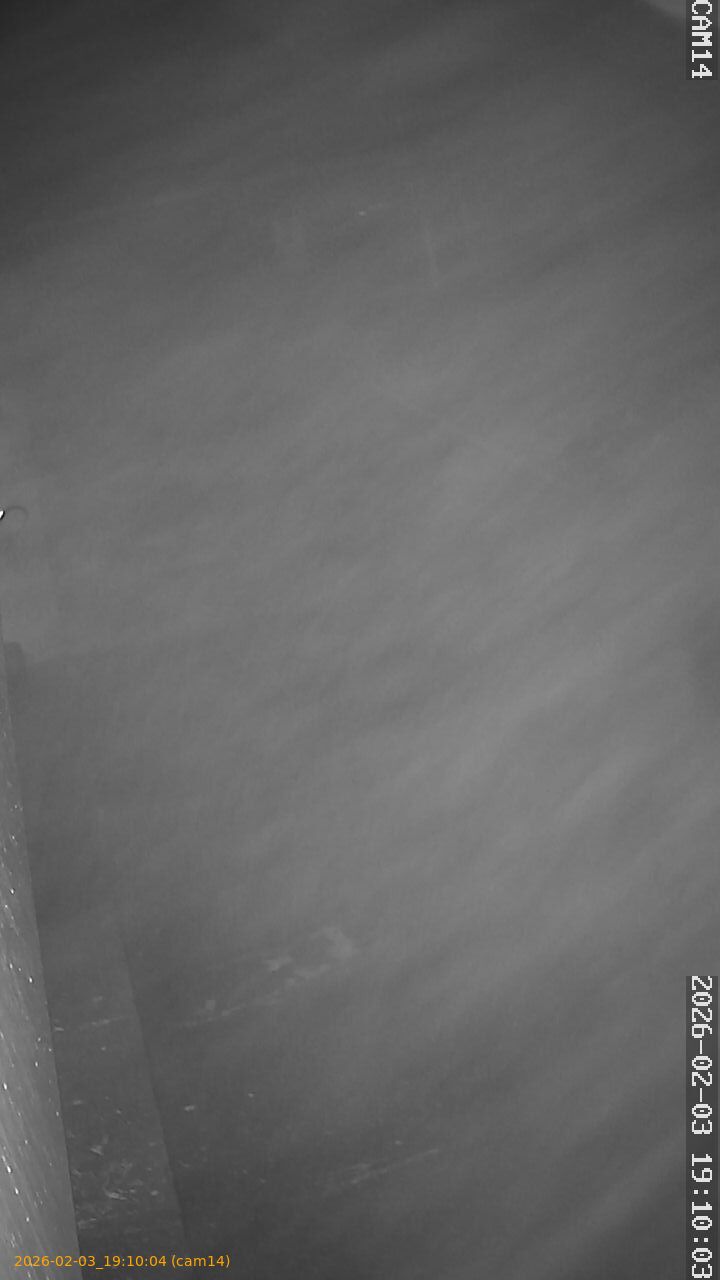 thumbnail_20260203191004