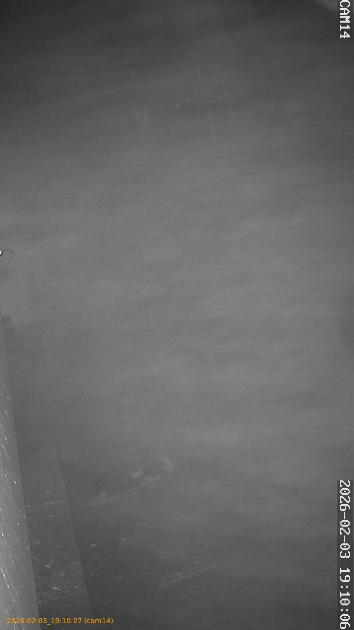 thumbnail_20260203191007