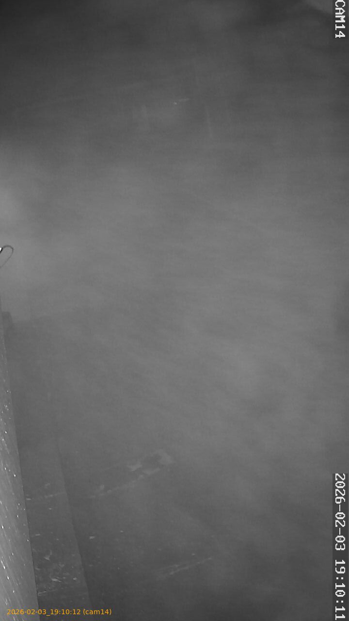 thumbnail_20260203191012