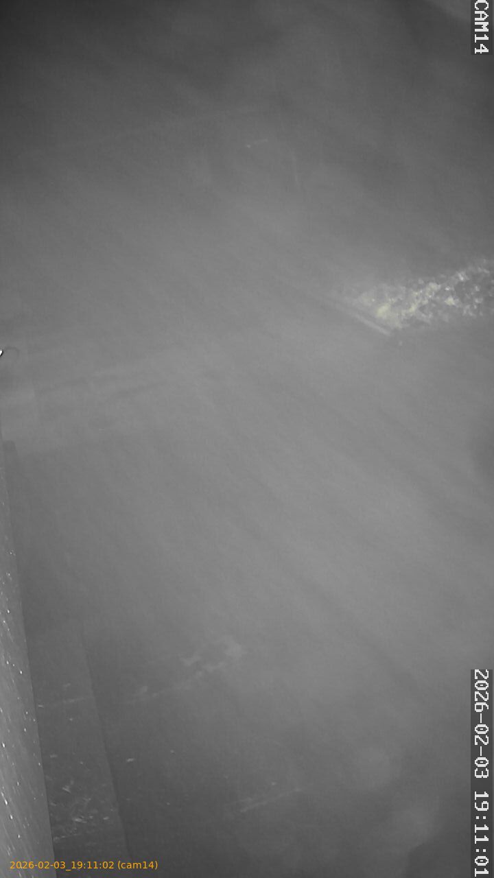 thumbnail_20260203191102