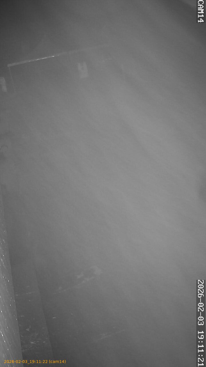 thumbnail_20260203191122