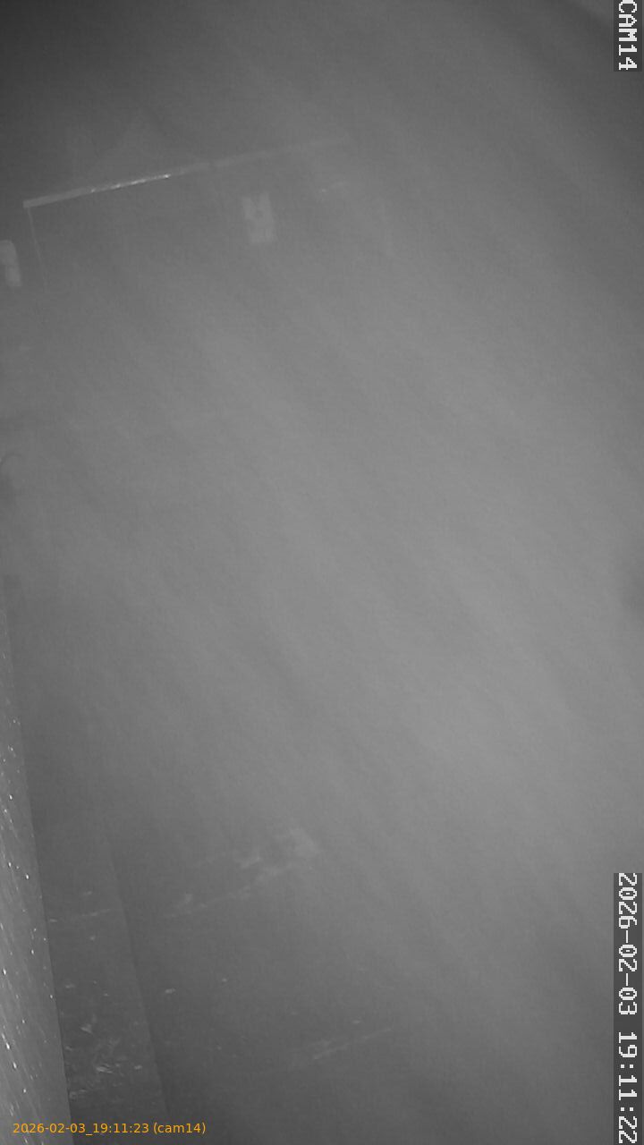 thumbnail_20260203191123