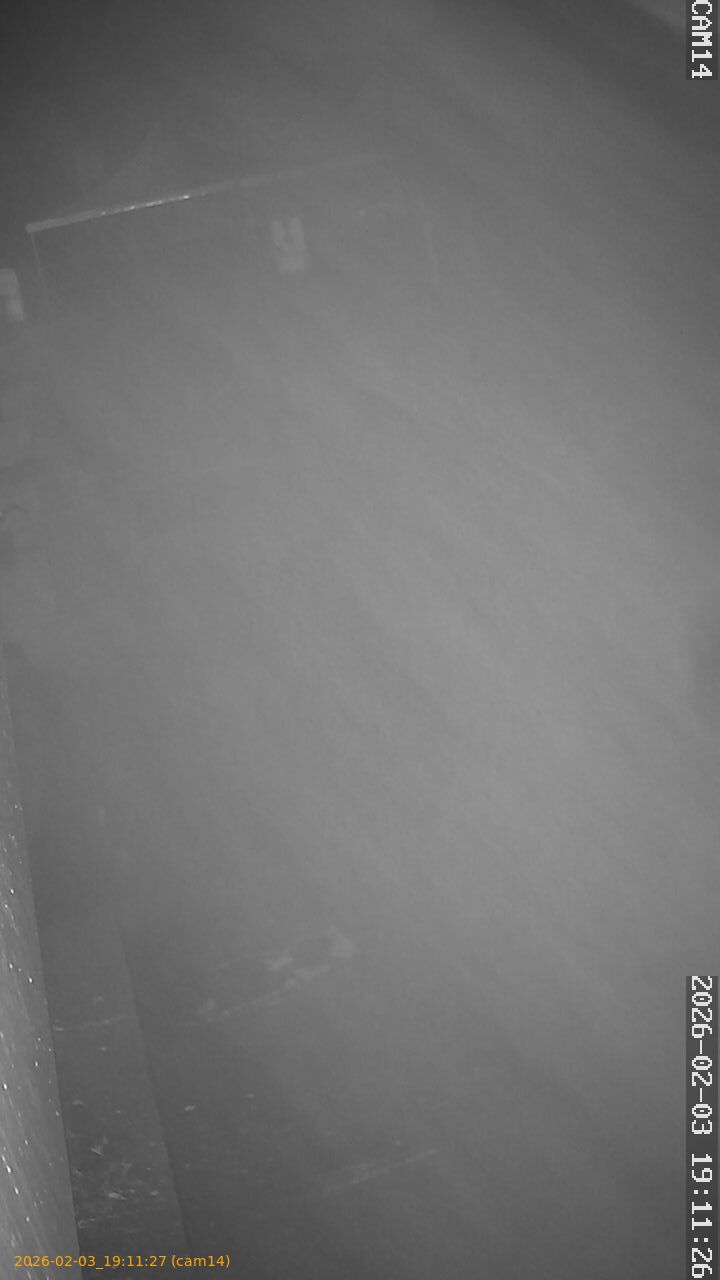 thumbnail_20260203191127