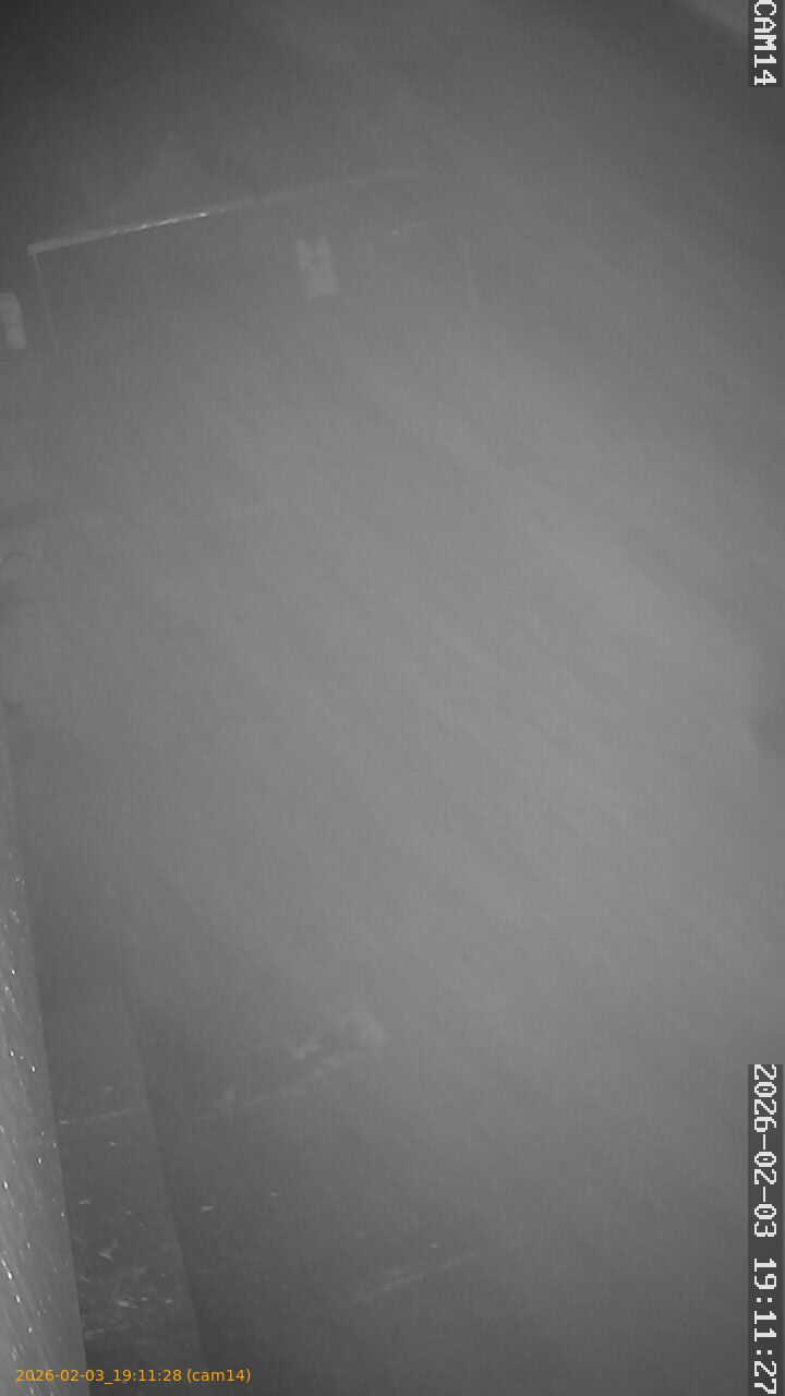 thumbnail_20260203191128