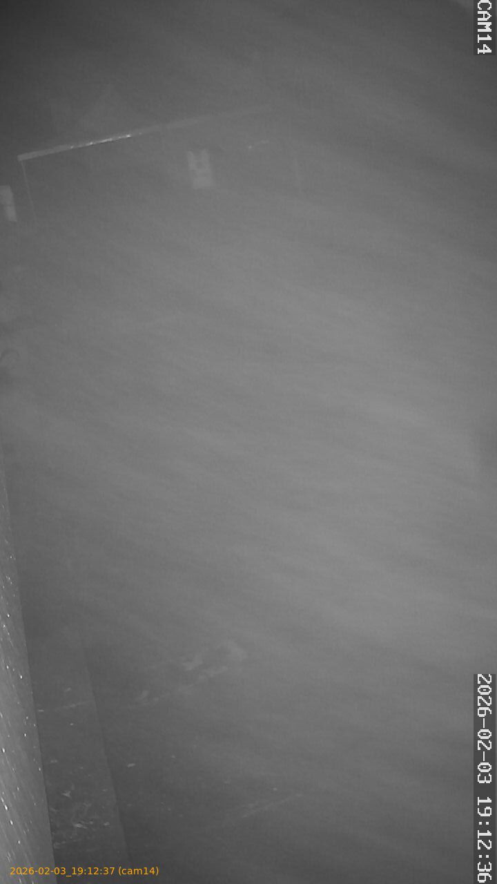 thumbnail_20260203191237