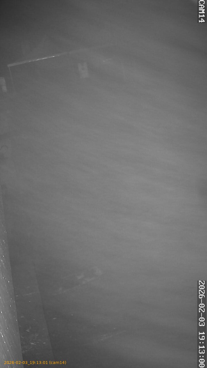 thumbnail_20260203191301