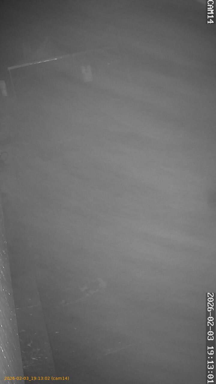 thumbnail_20260203191302