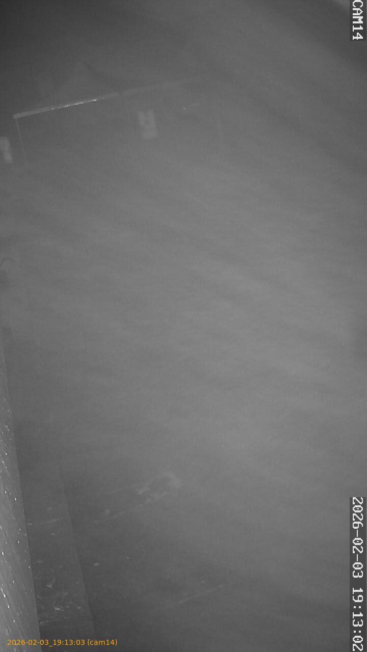 thumbnail_20260203191303