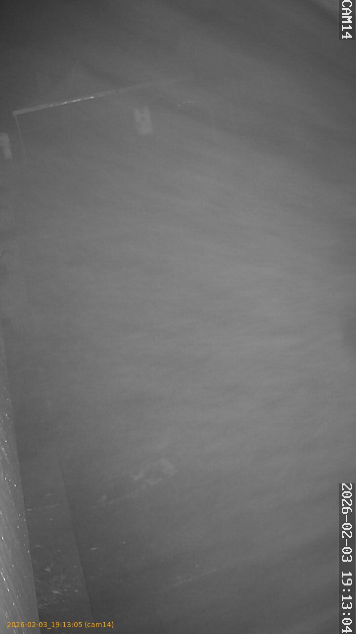 thumbnail_20260203191305