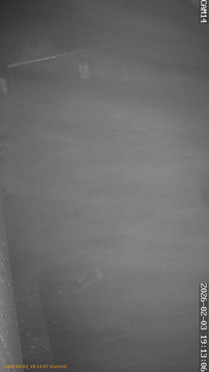 thumbnail_20260203191307