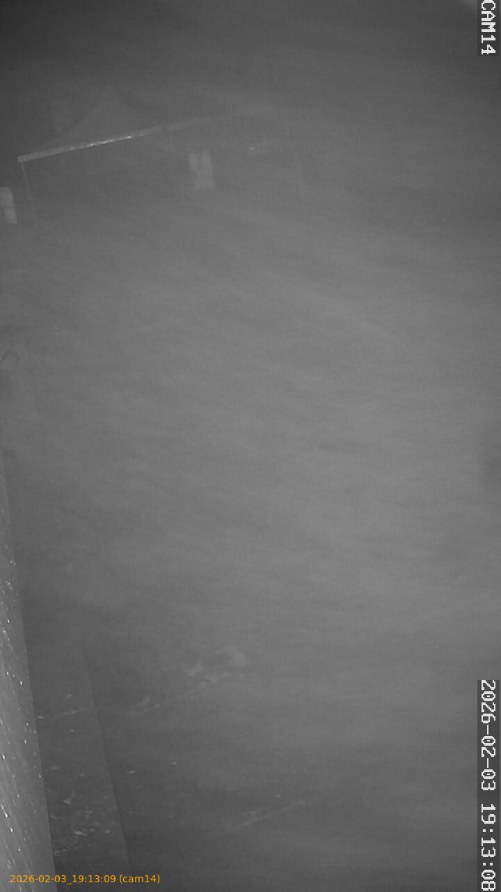 thumbnail_20260203191309