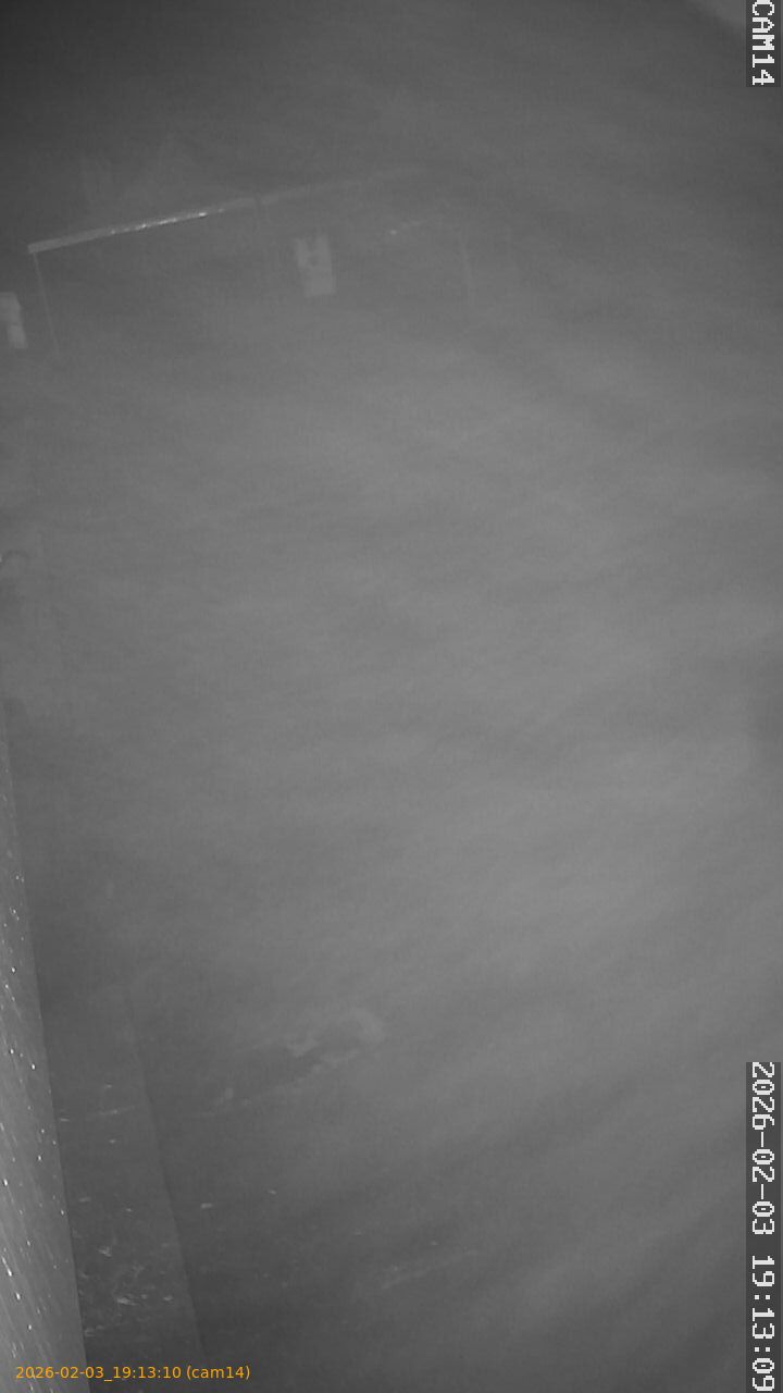 thumbnail_20260203191310