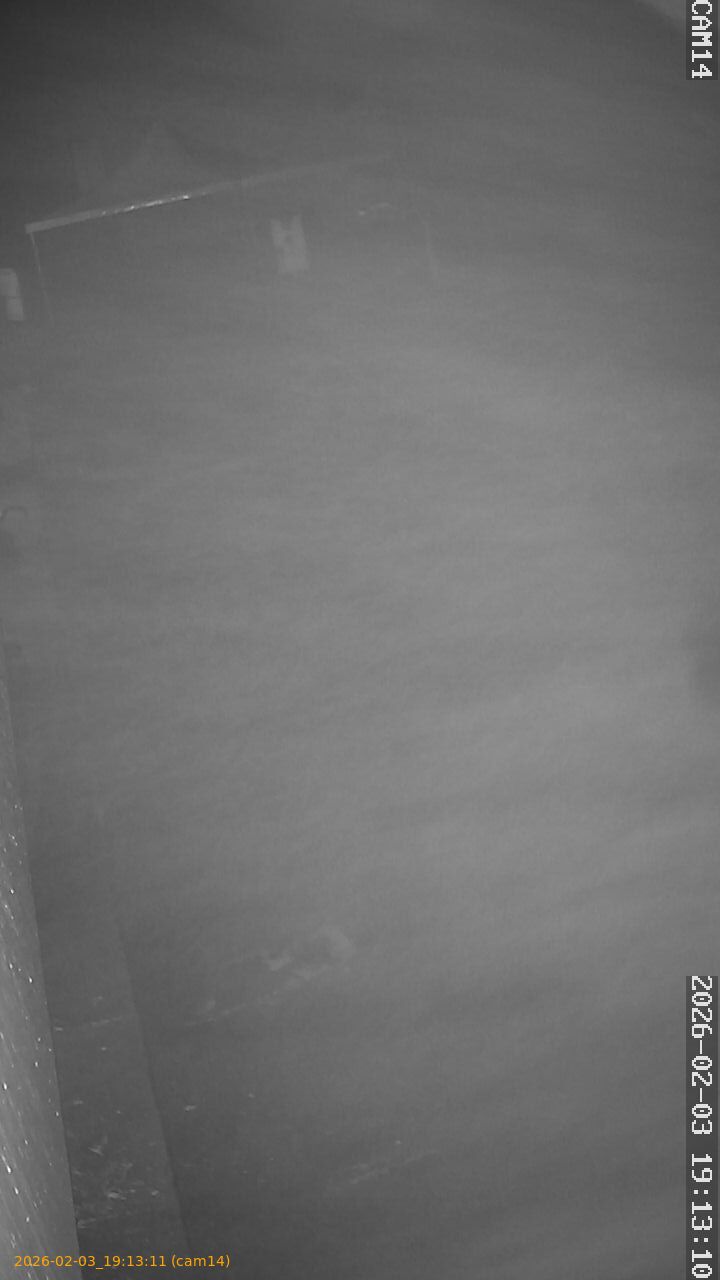 thumbnail_20260203191311