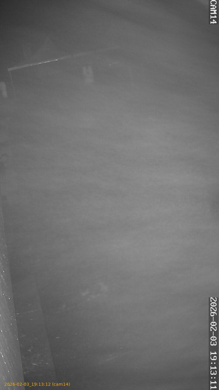 thumbnail_20260203191312