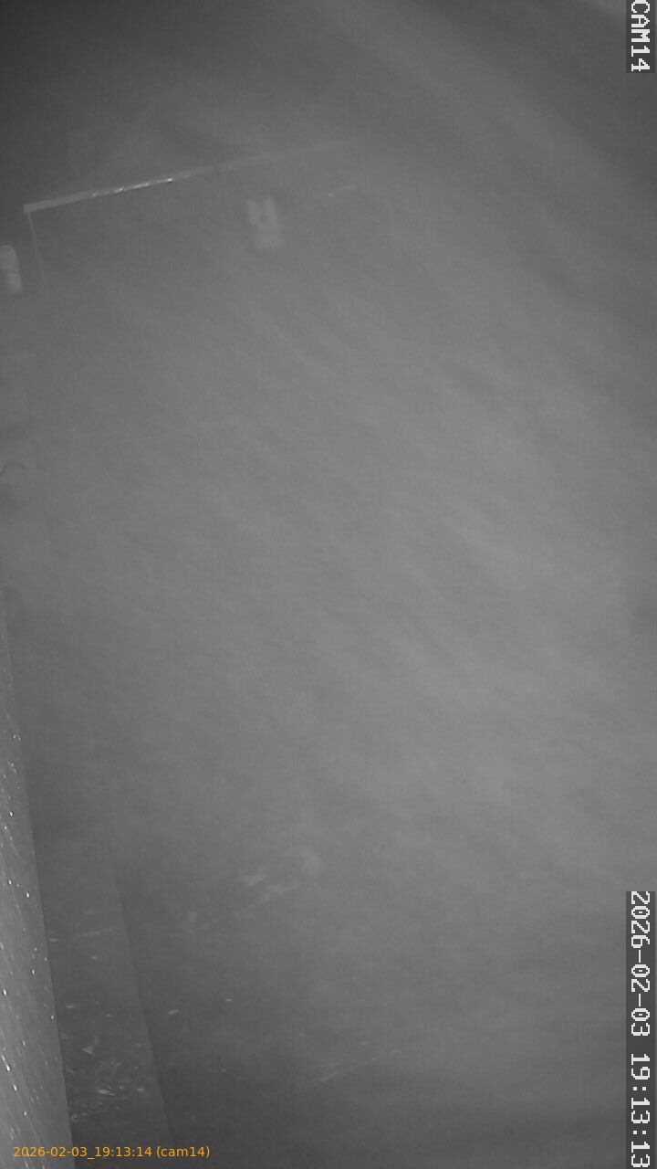 thumbnail_20260203191314