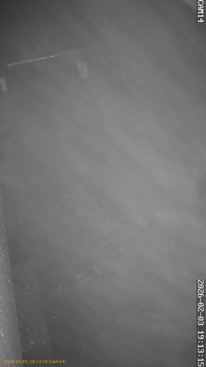 thumbnail_20260203191316