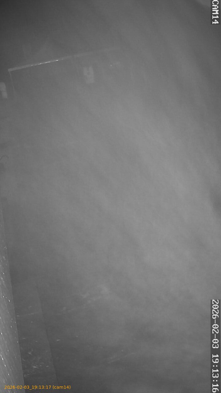 thumbnail_20260203191317