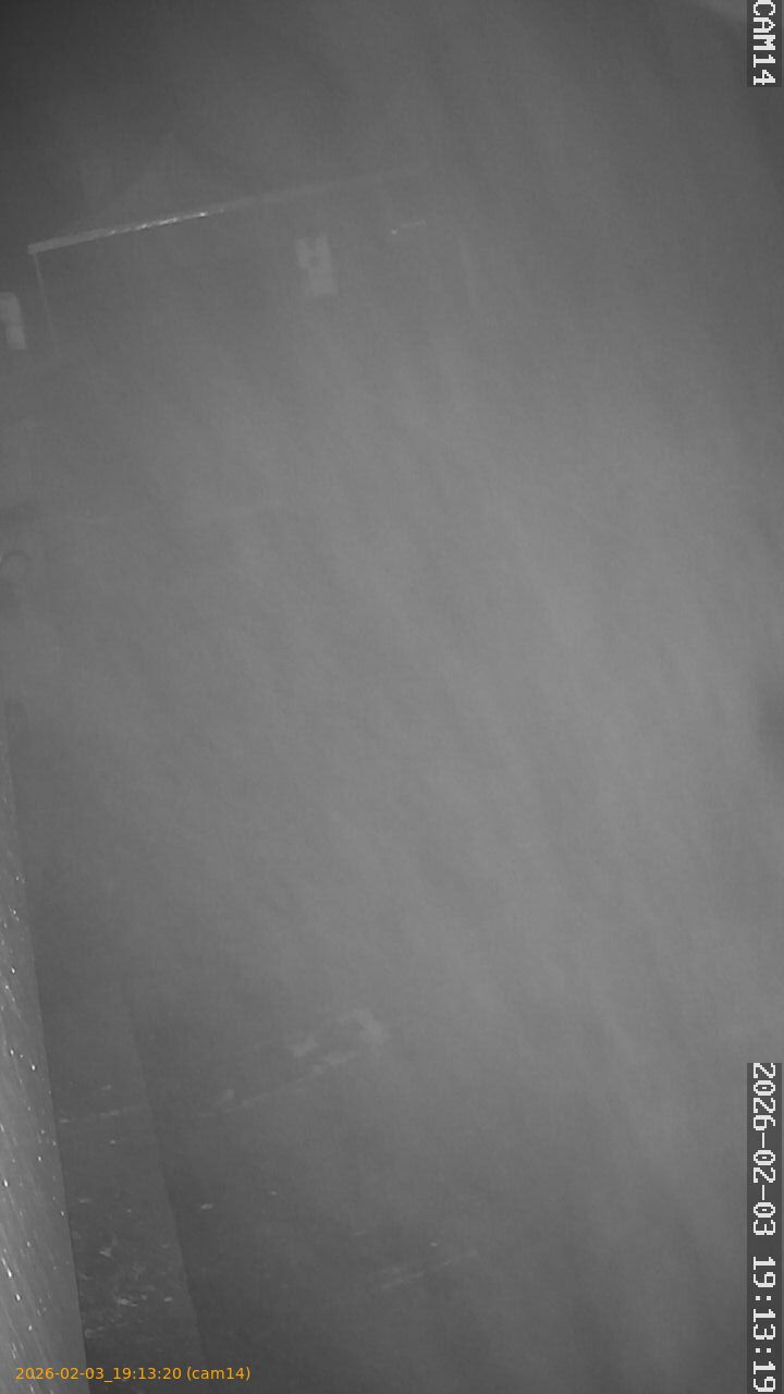 thumbnail_20260203191320