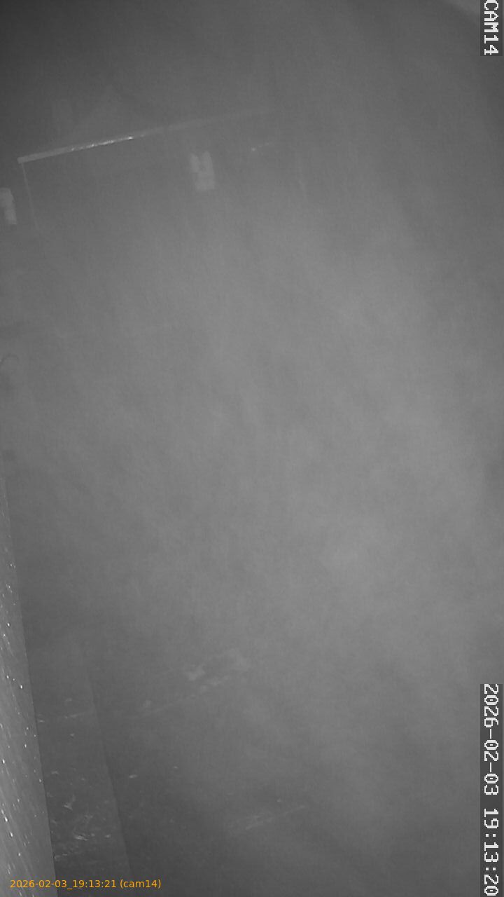 thumbnail_20260203191321