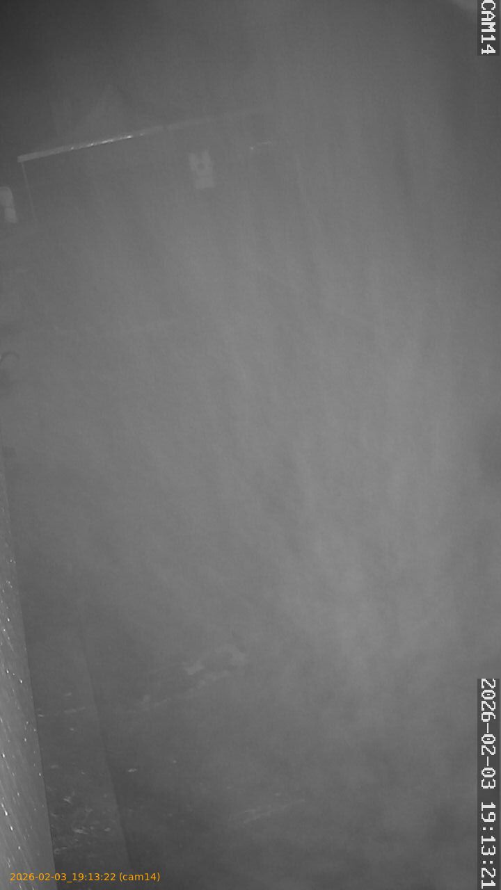 thumbnail_20260203191322