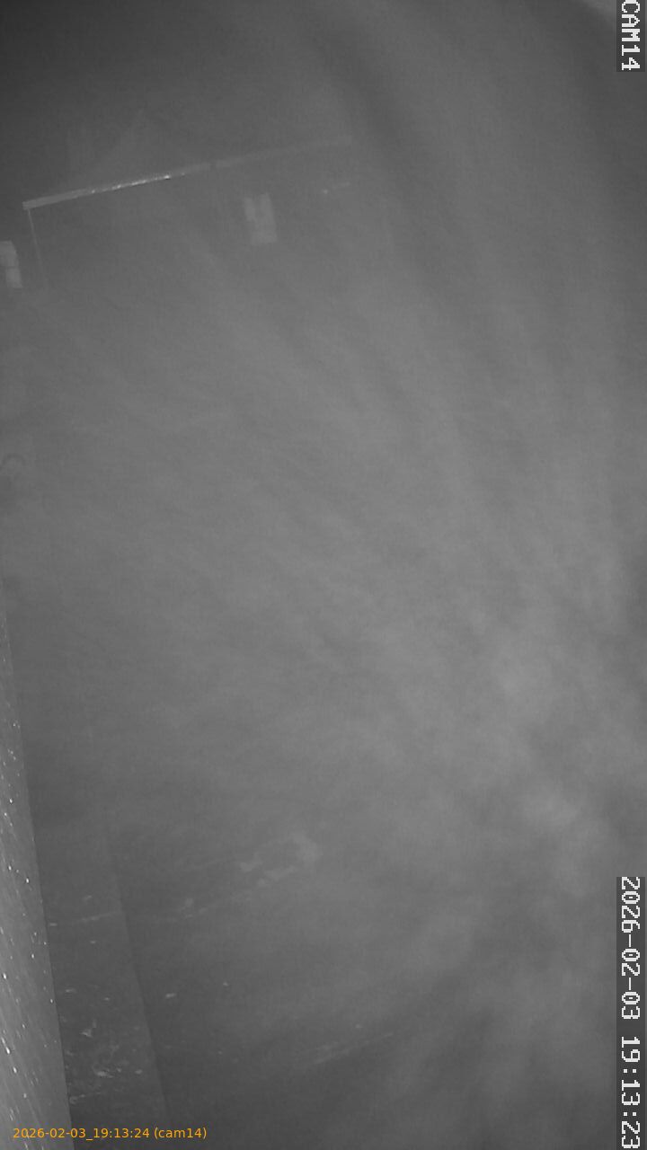 thumbnail_20260203191324