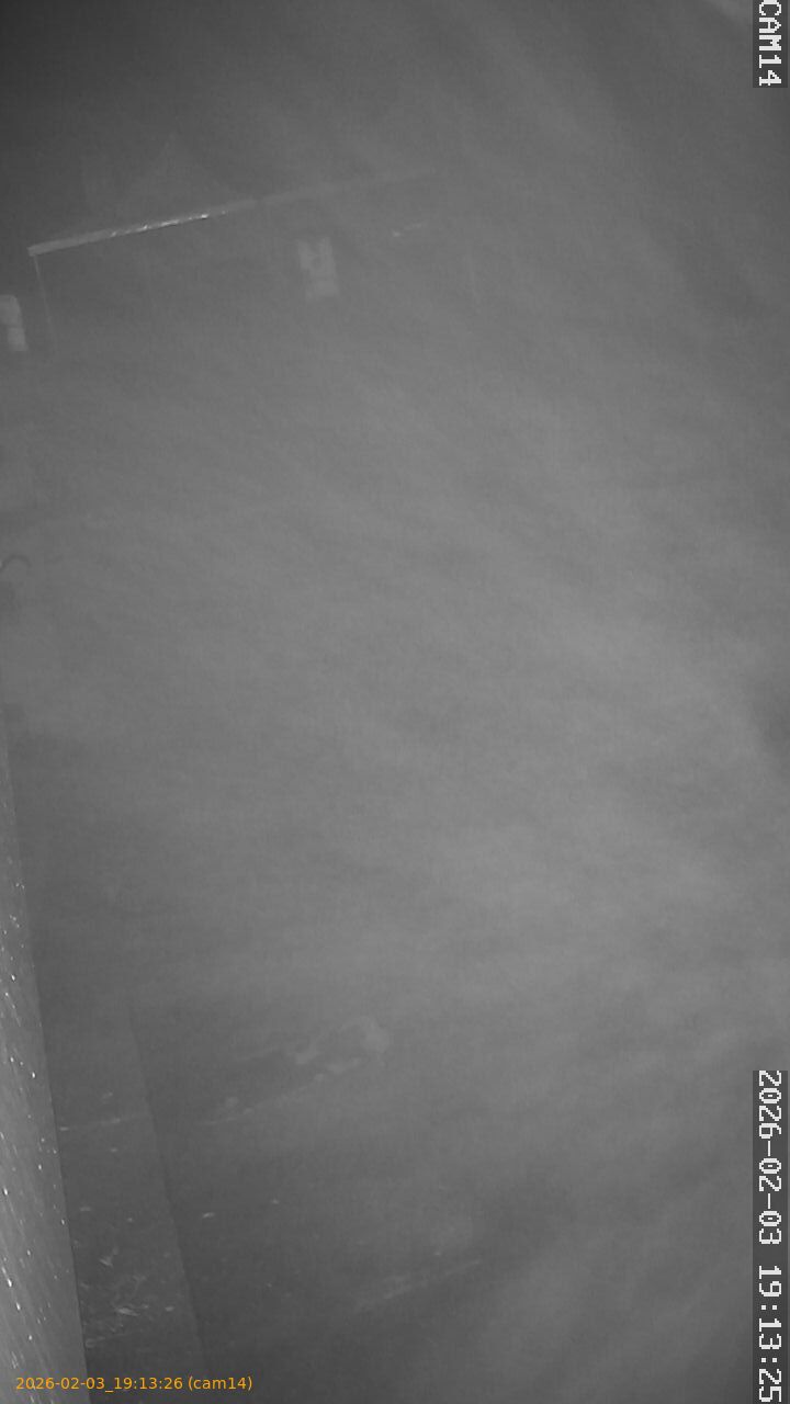 thumbnail_20260203191326