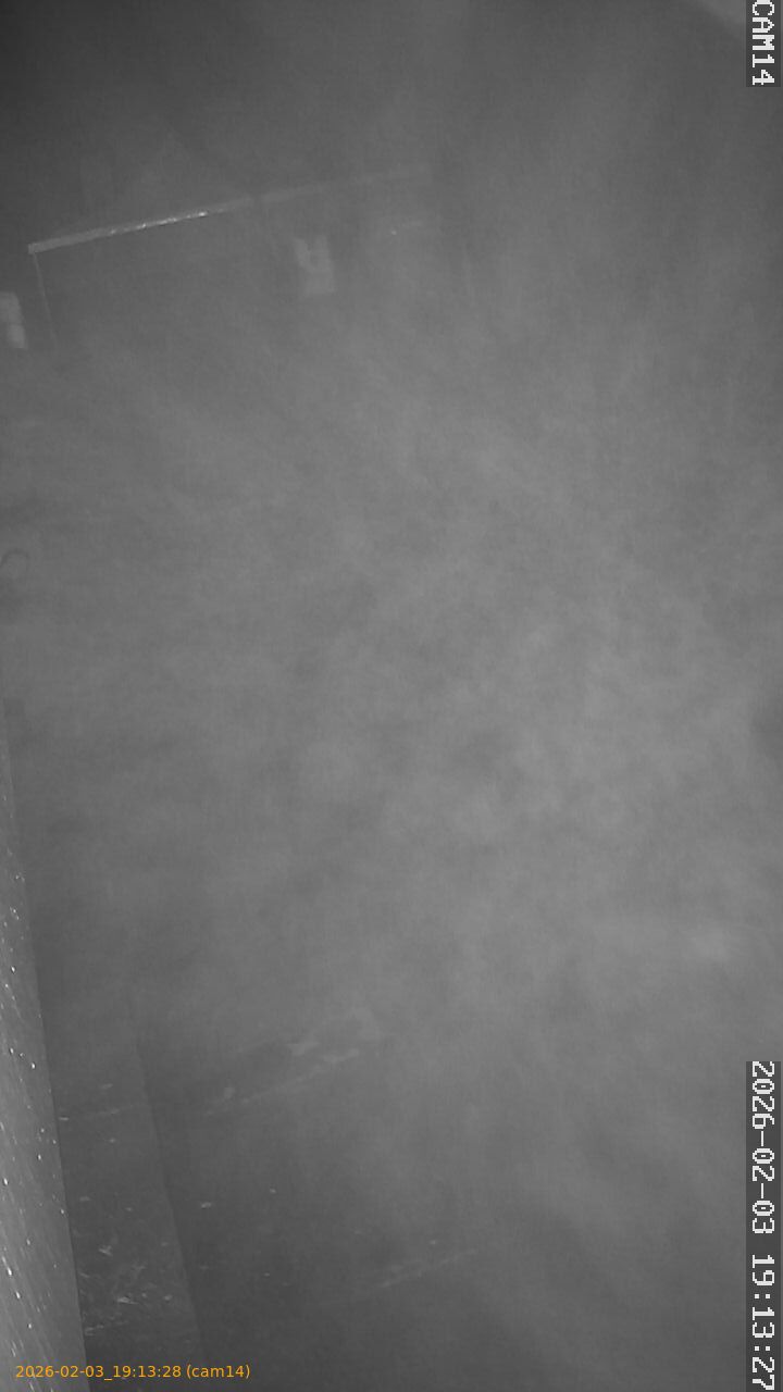 thumbnail_20260203191328