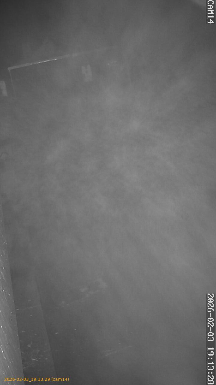 thumbnail_20260203191329