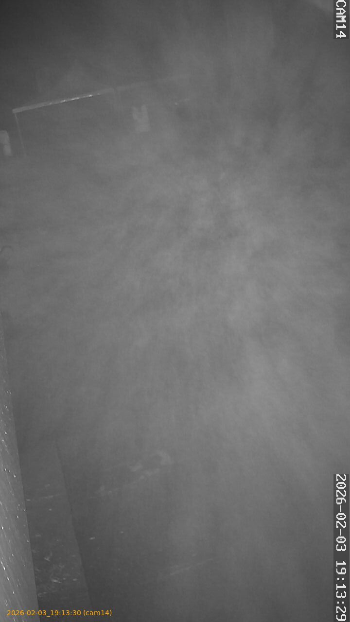 thumbnail_20260203191330