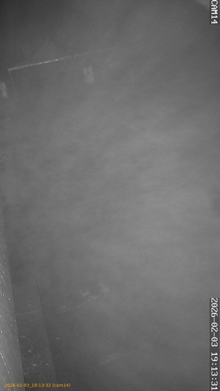 thumbnail_20260203191332