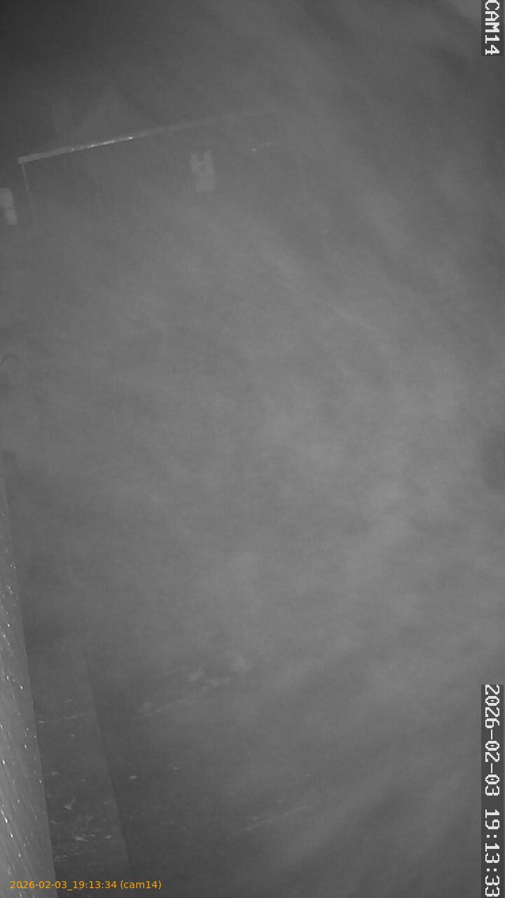 thumbnail_20260203191334