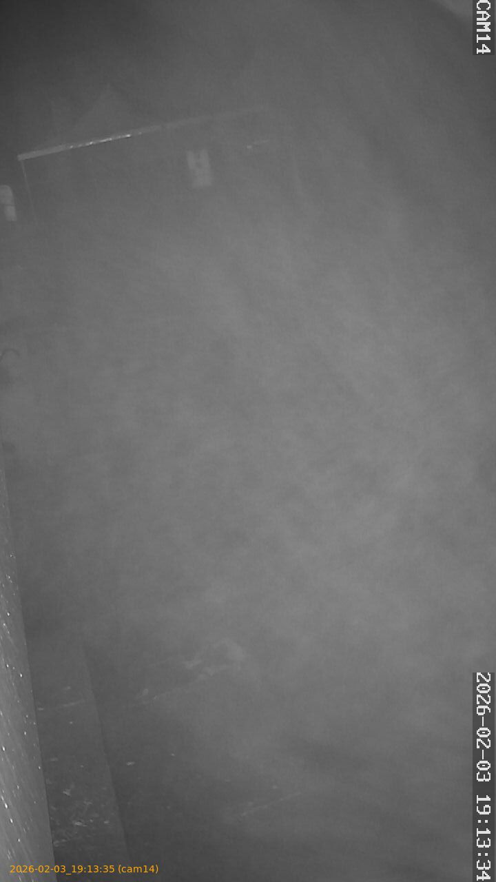 thumbnail_20260203191335