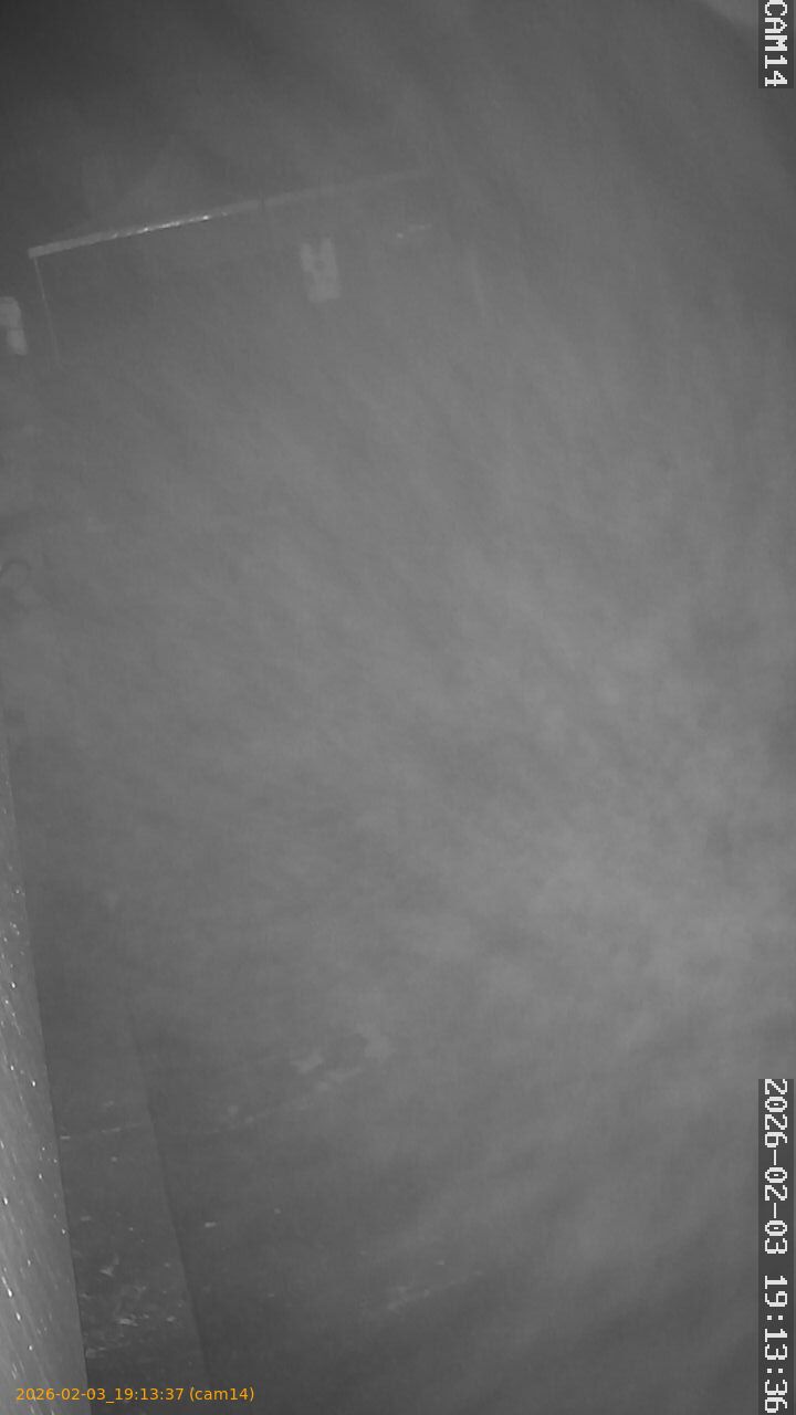 thumbnail_20260203191337