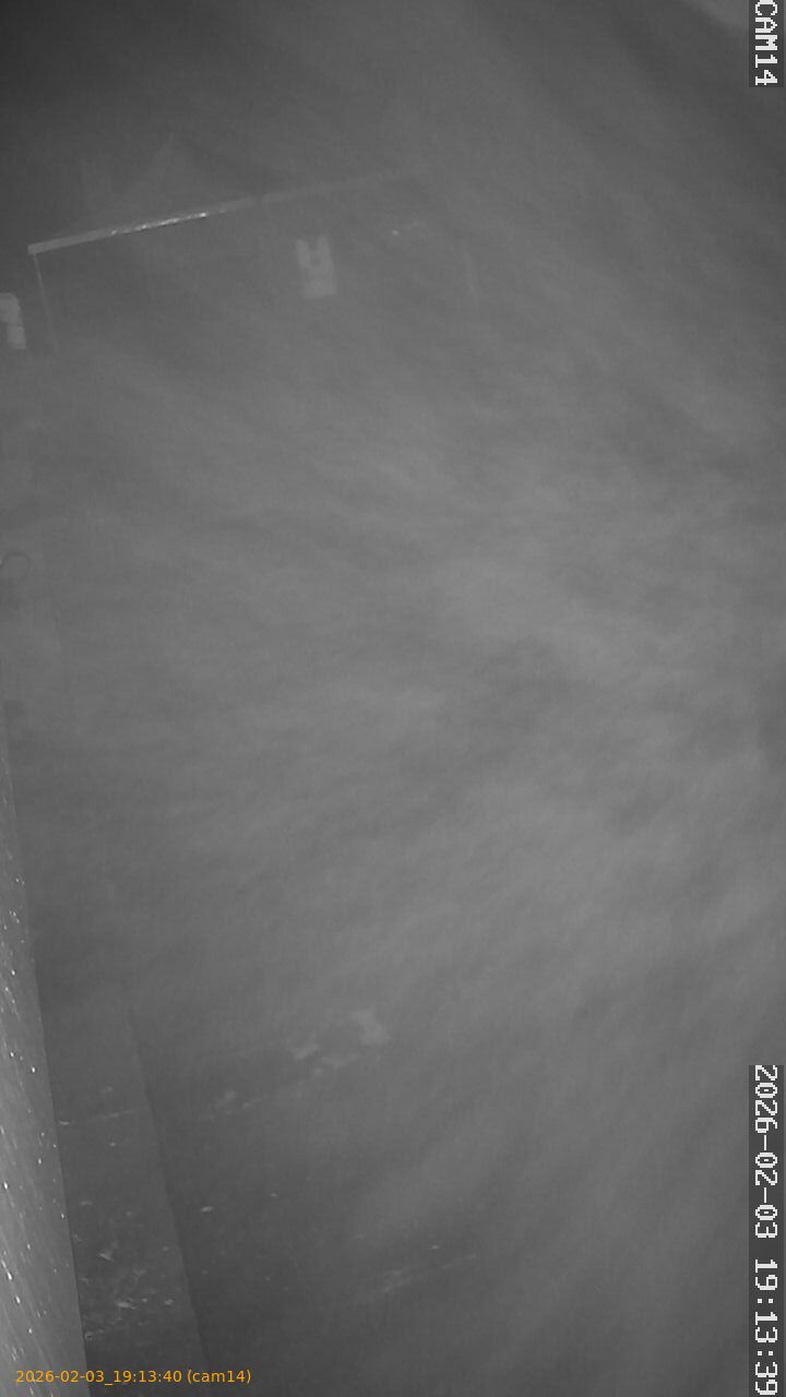 thumbnail_20260203191340